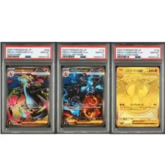 ポケモンカード メガリザードンXex SR SAR MUR PSA10 3連番