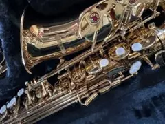 Item thumbnail for item 61d42f60-daea-4e86-bc42-2d13268ea9c6