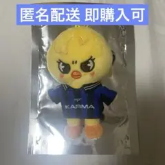 straykids KARMA skzoover. キーリング ポガリ