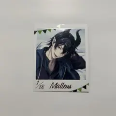 睦月様 リクエスト 2点 まとめ商品