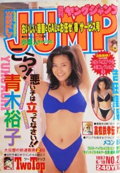 週刊ヤングジャンプ 1997年5月 No.23 表紙 青木裕子 - メルカリ