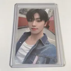 セブチ ディノ ヨントン トレカ