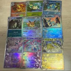 テラスタルフェス　ブイズ　モンスターボールミラー 9種コンプリート