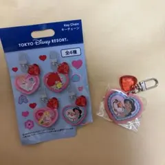 東京ディズニーリゾート キーチェーンディズニープリンセス ジャスミン