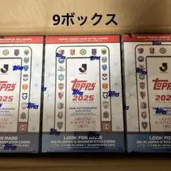 希少 激レア限定品 トイザらス 100店舗達成記念 非売品 トレーラー3台