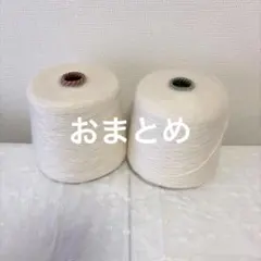 うりこの様 リクエスト 2点 まとめ商品♡15パーセント割引♡