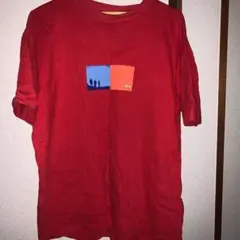 【超激レア】old stussy Tシャツ 正規品 黒タグ ヴィンテージ