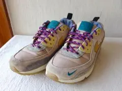 【希少/美品】NIKE エアマックス90 シーズナル FossilStone