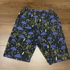 ポケモン　ステテコ　110