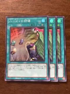 ハーピィの狩場　3枚