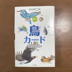 くもんの自然図鑑カード 鳥カード 知育玩具のサムネイル