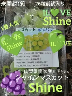元祖村松製菓☘️山梨県笛吹産☘️生シャインマスカットボンボン☘️未開封1箱のサムネイル