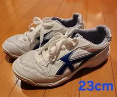 ムーンスター　体育館シューズ