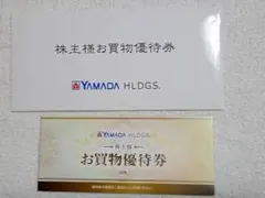 ヤマダ電機 お買物優待券 ¥500x10枚　5000円分