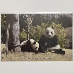 Item thumbnail for item e9434f82-b853-4d85-8cad-0ea8e47c834e