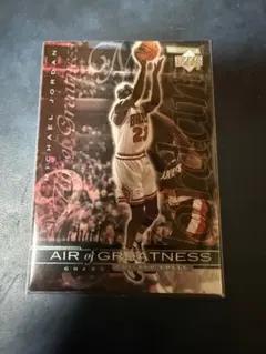 Michael Jordan Air of Greatness ①