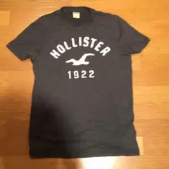ホリスター Tシャツ
