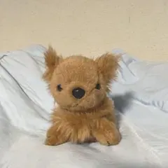 あるまど　犬 ぬいぐるみ キーホルダー マスコットブラウン　子犬　茶色