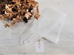 Item thumbnail for item 445e2a2a-e078-415b-a473-8f6059a5b755