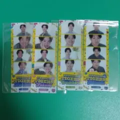 阪神タイガース　TORACO　DAY　シークレット選手フォトグレイ　セット