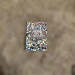 Popmart SKULLPANDA XG ホログラムカード