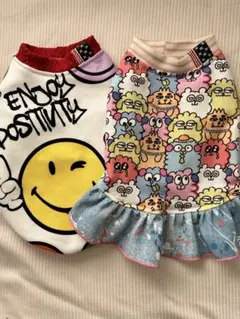 Item thumbnail for item 16a161ef-eee3-4c6c-97a1-712c31a93dc0