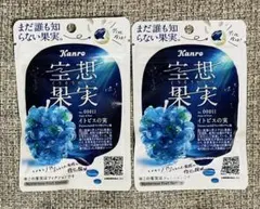 カンロ 空想果実グミ イトピスの実 2個 ②のサムネイル