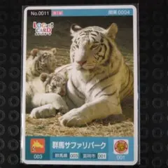 入手困難品 ロゲットカード 福井県立恐竜博物館 No.P004 - メルカリ