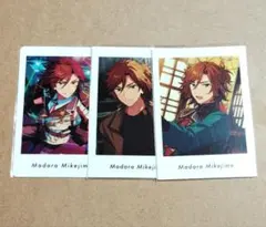 2026年最新】三毛縞斑の人気アイテム - メルカリ