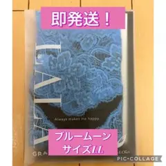購入後即発送！グラントイーワンズレーシーショーツLL ブルームーンのサムネイル