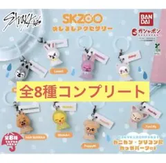 SKZOOスキズ めじるしアクセサリーコンプリート