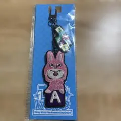 Stray Kids SKZ 刺繍キーホルダー Jiniret ジニレット