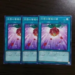 698 天啓の薔薇の鐘　20枚セット 698 天啓の薔薇の鐘20枚セット