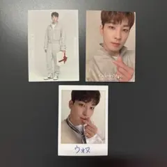 SEVENTEEN Ode to You トレカ ウォヌ