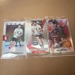 Item thumbnail for item 4541761c-3a5e-403e-8743-4eb8907d013b