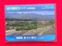 2026年最新】棚田カードの人気アイテム - メルカリ