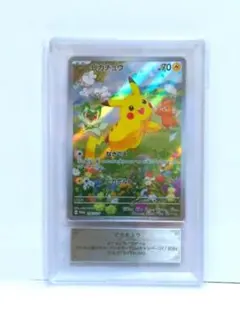 最高評価完美品【GEMIX10ブラック】ゼニガメ Classic 世界で1枚 - メルカリ
