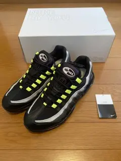 Nike Air Max 95 カスタム