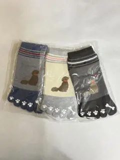 犬イラスト付きソックス3足セット