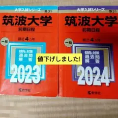 Item thumbnail for item 9825221a-34c0-46c0-a2ec-2c748492784a