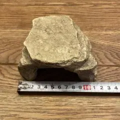 爬虫類用 岩型シェルターのサムネイル