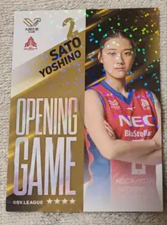 佐藤淑乃　Vコレ　NECレッドロケッツ　女子日本代表