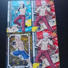 家庭教師ヒットマンREBORN! サザンクロスバトル 笹川了平 カード セット