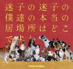 ペルシカリア　CD 2025年最新】ペルシカリア cdの人気アイテム - メルカリ