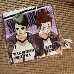 ハイキュー‼︎ タオル、缶バッジ　セット