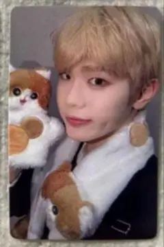 zb1 ゼベワン キムテレ yzy 一直娯 ヨントン 中華 トレカ 猫