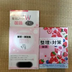 中学 2年 3年 整理と対策 問題集 解答 明治図書 受験対策 国語のサムネイル