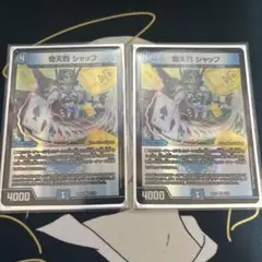 奇天烈 シャッフ 2枚