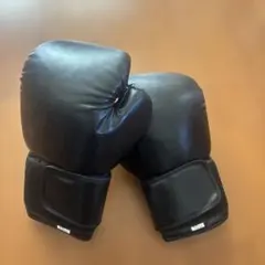 ボクシンググローブ 10