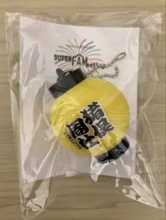 Item thumbnail for item 432ab603-b9b3-4bcb-950d-990f797bcf49